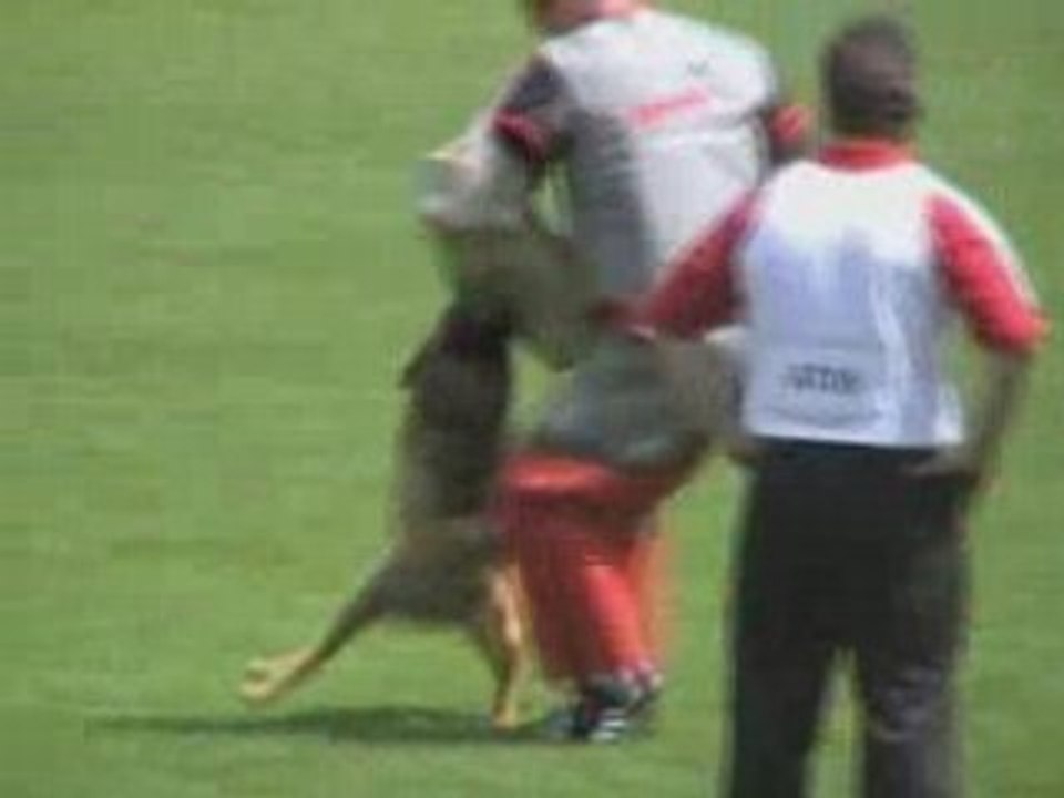 FMBB-2008-Bauer/Gonzo