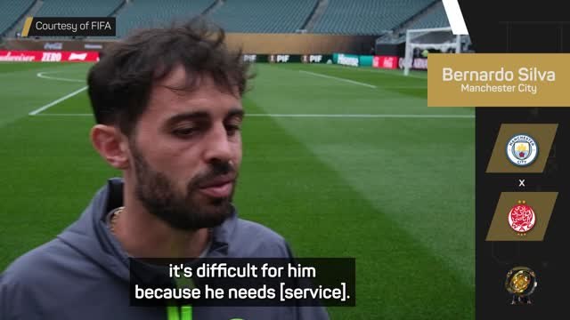 Haaland’s form mirrors City’s performance - Silva