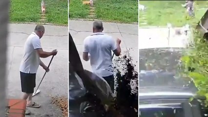 Adulto mayor se salvó de milagro: carro casi lo arrolla en La Virginia, Risaralda