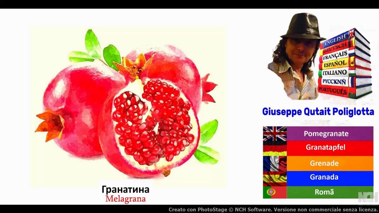 Visual Dict with Audio гранатина, сыр моцарелла, ландыш, нарцисс