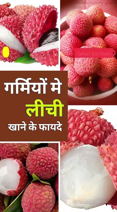 Benefits of Litchi in Summer Season 2025