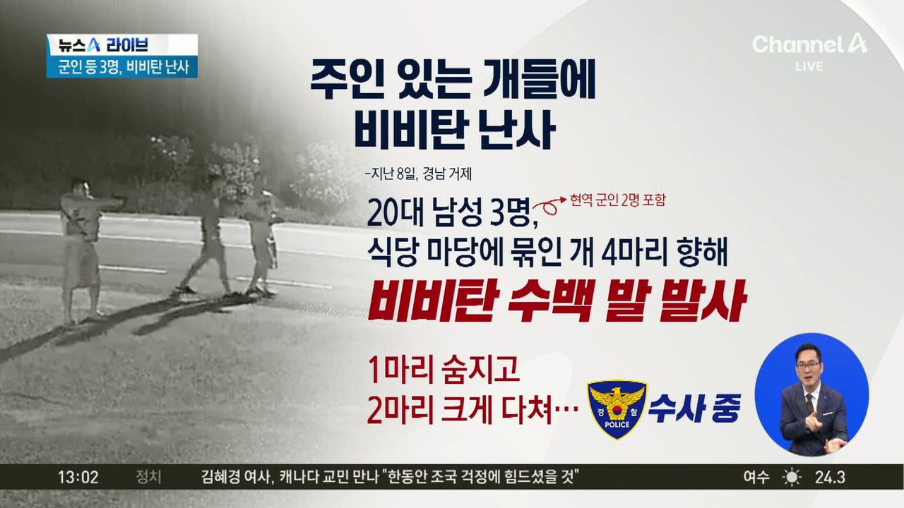 묶인 개들에 ‘BB탄 난사’…4마리 중 1마리 숨져