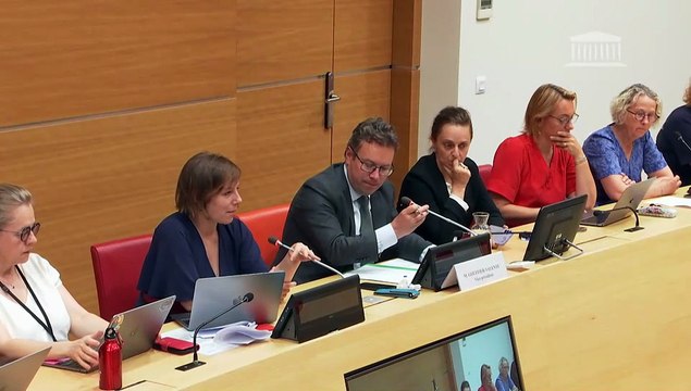 Délégation aux droits des femmes : Mme Bérangère Couillard, présidente du Haut Conseil à l’Égalité entre les femmes et les hommes - Mardi 17 juin 2025