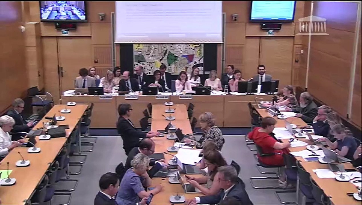 Commission des affaires culturelles : Réforme de l’audiovisuel public et souveraineté audiovisuelle (suite) - Mardi 17 juin 2025