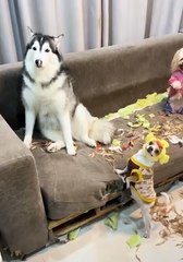 The party was a success 😁😄😄