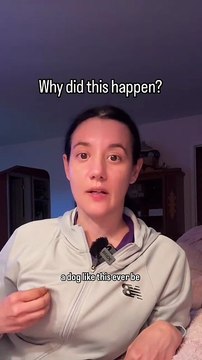 There are many reasons why this might have happened, but the simplest explanation is that the dog was resource guarding the space and the couch. I’ll go over this video slo-motion in a later video but what do you think Anything