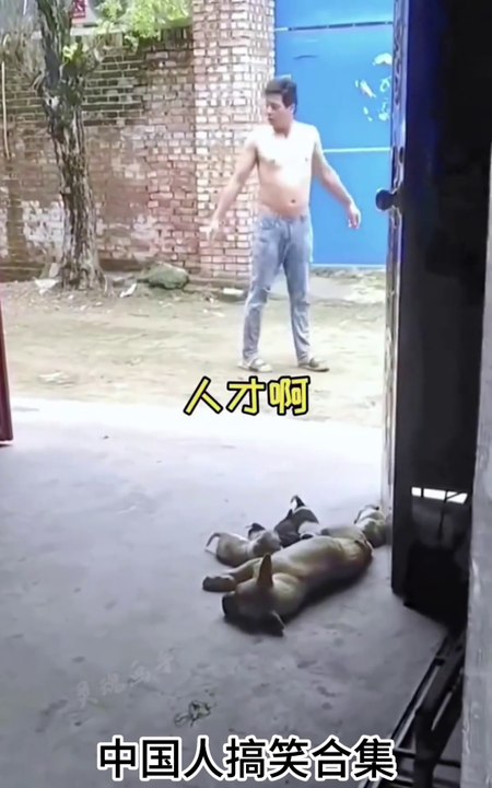 中国人搞笑合集