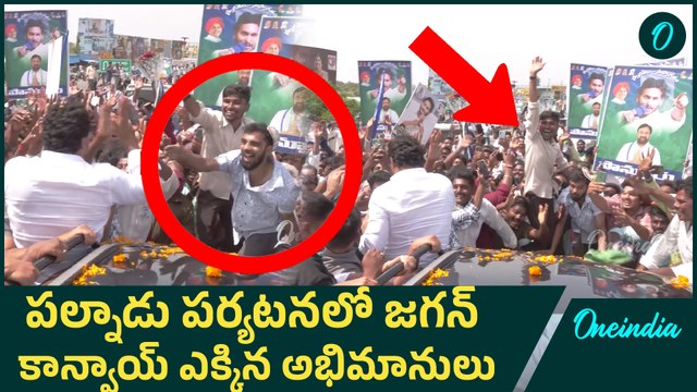 పల్నాడు పర్యటనలో జగన్ కాన్వాయ్ ఎక్కిన అభిమానులు | YS Jagan Palnadu Tour | Oneindia Telugu
