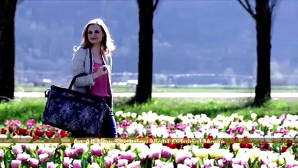 Tulips in Spring | movie | 2016 | Official Trailer