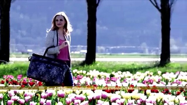 Tulips in Spring | movie | 2016 | Official Trailer