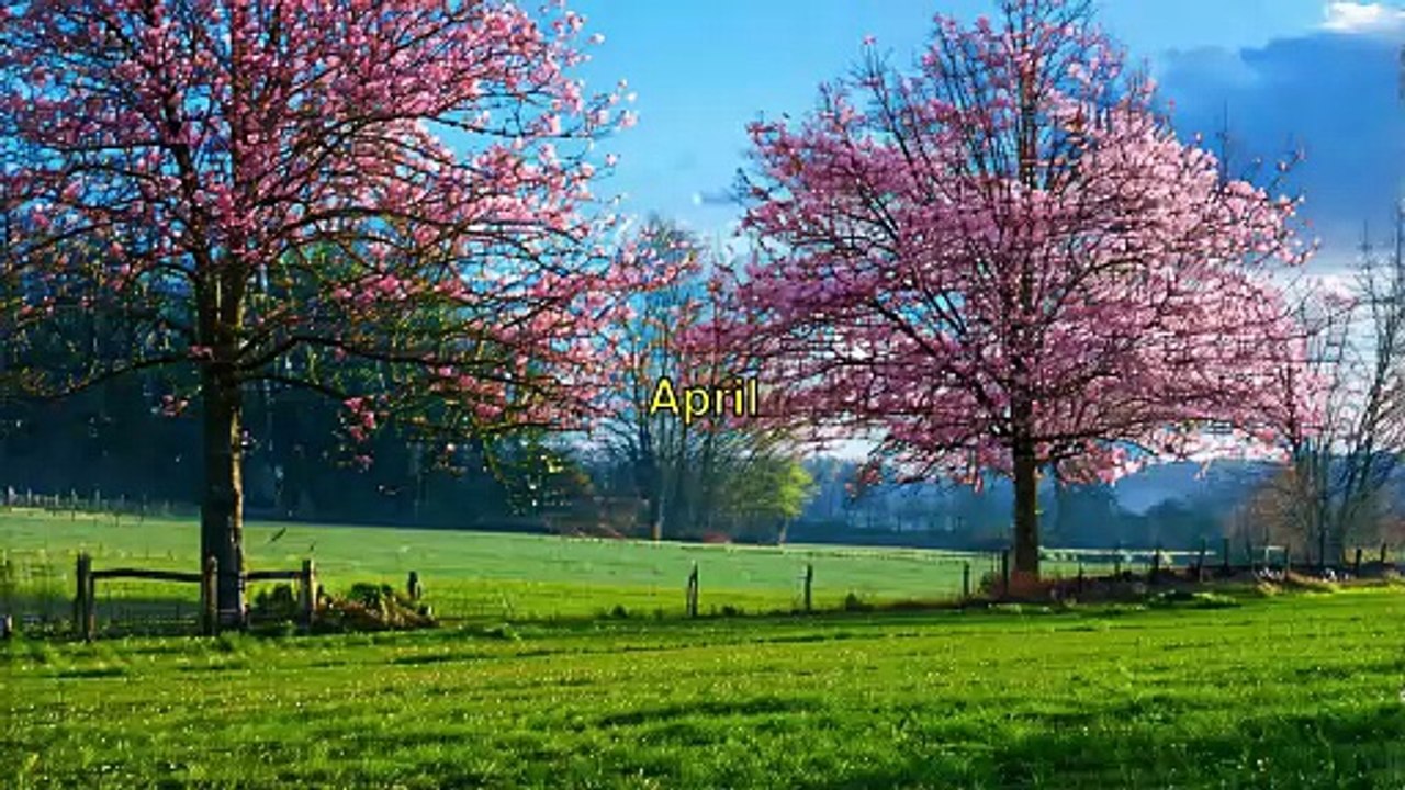 10000 palabras - April