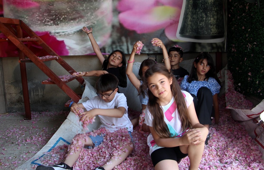 Bastonun içinde Türkiye'ye getirildi! Şimdi görenler hayran kalıyor