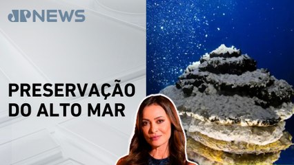 Cúpula dos oceanos termina com avanços e omissões; Patrícia Costa analisa