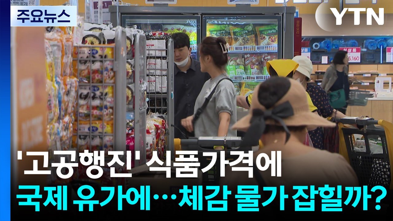 '고공행진' 식품가격에 국제 유가에...체감 물가 잡힐까? / YTN