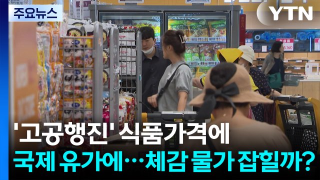 '고공행진' 식품가격에 국제 유가에...체감 물가 잡힐까? / YTN