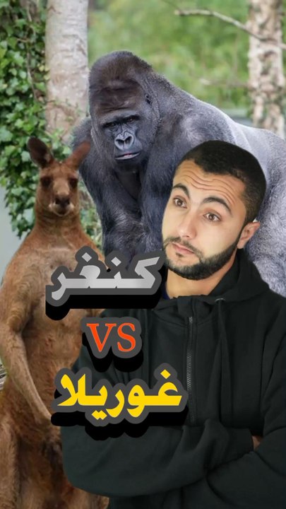 🦘🦍🔥 كنغر ضد غوريلا! مين الأقوى؟https://psce.pw/7reejy#النواة #الغوريلا #الكنغر#Alnawa #dubai🇦🇪 #dubailife #Kangaroo #Gorilla #trending #travel #nature #wildlife
