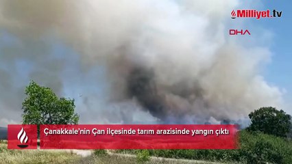 Çanakkale’de tarım arazisinde yangın