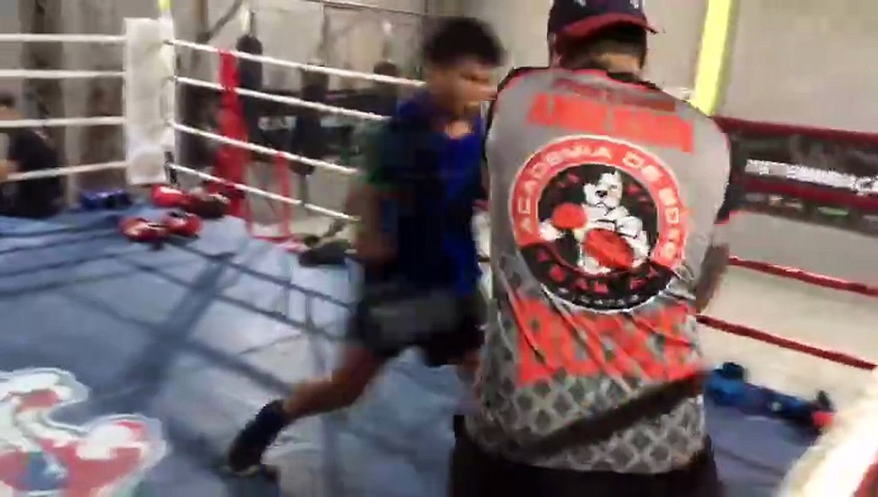 Treino de box