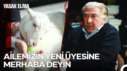 Bu Entrika Dolu Hayatımızda Bir Kuzumuz Eksikti - Yasak Elma 108. Bölüm