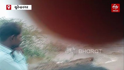 સુરેન્દ્રનગર જિલ્લો શરૂઆતમાં જ શ્રીકાર, ધોળી ધજા, ભોગાવો સહિત પાંચ જળાશયો ઓવરફ્લો