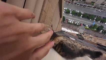 cat's daily life | Creative Inspiration