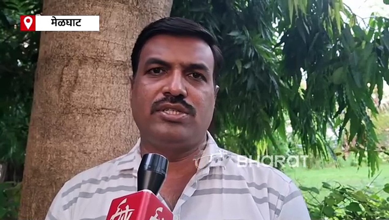मेळघाटातील मगरीचं झाड पाहून तुम्हालाही वाटेल आश्चर्य; जाणून घ्या खास वैशिष्ट्ये!