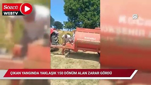 Tarım arazisinde çıkan yangında yaklaşık 150 dönüm alan zarar gördü