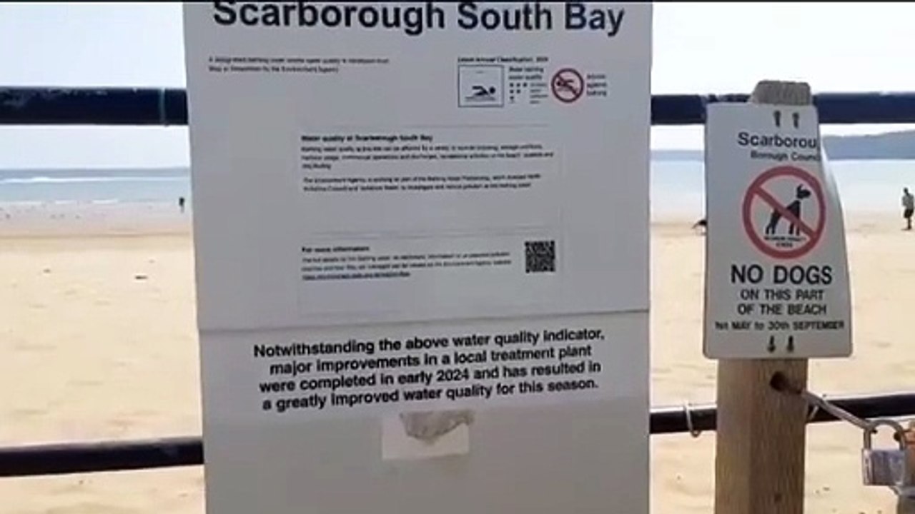 South Bay