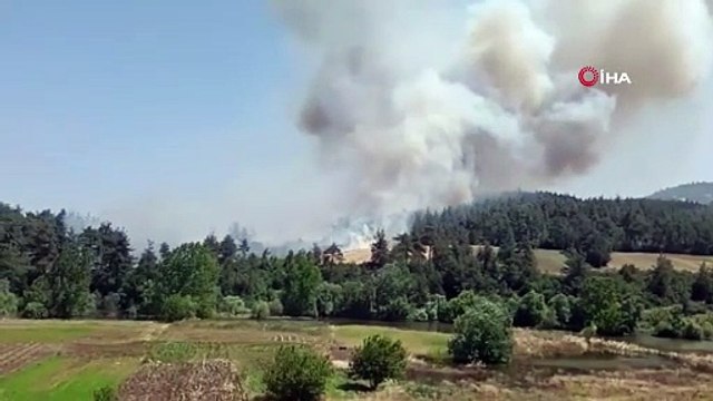 Bursa’da orman yangını: Taş ocakları mevkiindeki yangına karadan ve havadan müdahale