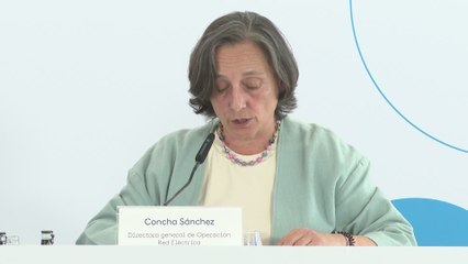 Red Eléctrica apunta a "incumplimientos" en protocolos de las eléctricas como causa del apagón