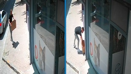 Klinik önüne koli içerisinde bırakılan köpek öldü