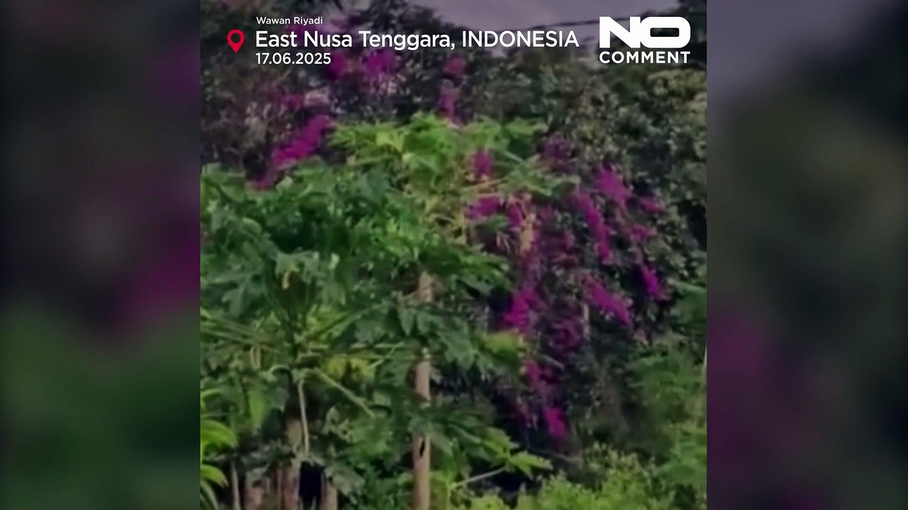 ثوران بركاني هائل في إندونيسيا يُطلق سحابة من الرماد بارتفاع 10 كيلومترات