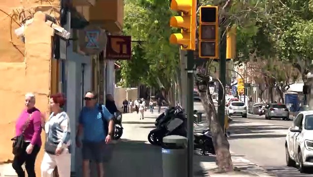 Red Eléctrica señala como causa del apagón incumplimientos en protocolos de las eléctricas