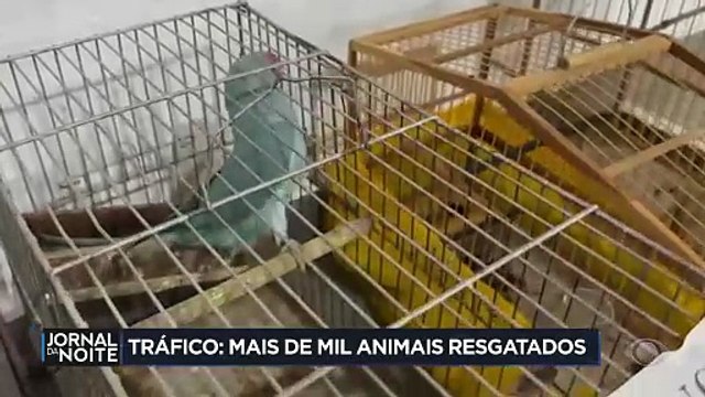 Polícia Civil do Paraná resgata mais de mil animais silvestres