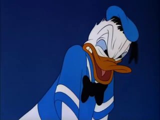 Wide Open Spaces 1947