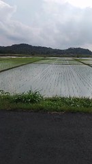 Pemandangan di pedesaan