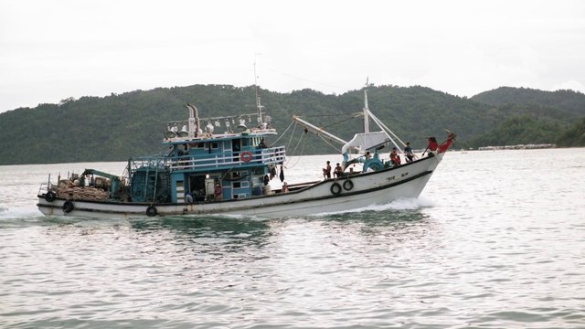 21 milioni di euro per potenziare la filiera ittica