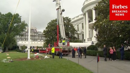 President Trump Watches Workers Install Nearly 100-foot Flagpole On The White House Lawn