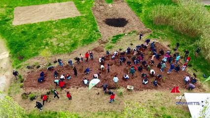 Tre anni di Foresta Italia, oltre 132mila piante messe a dimora