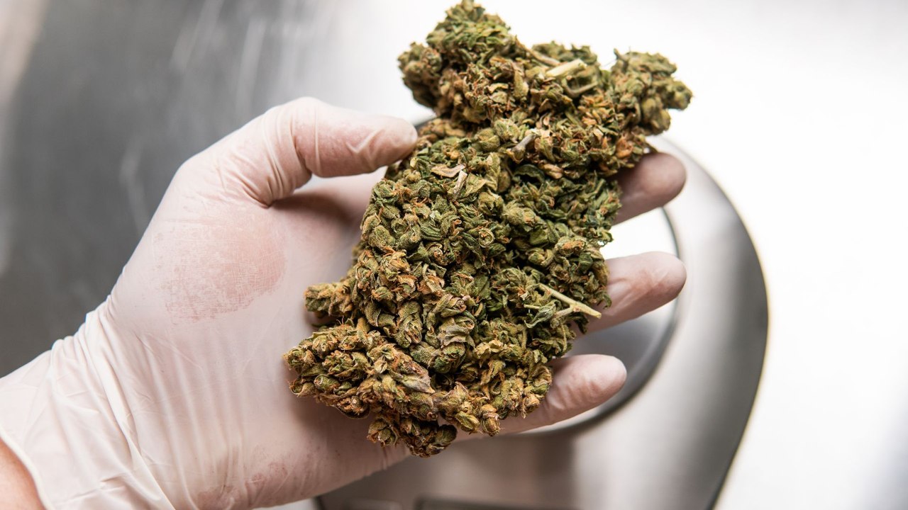 Estudio advierte riesgos cardiovasculares asociados al consumo de cannabis