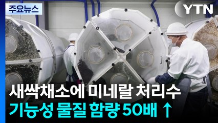 새싹채소에 미네랄 뿌렸더니...기능성 50배↑ / YTN