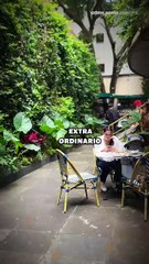 Café y Museo del Dr. Simi en CDMX ☕️