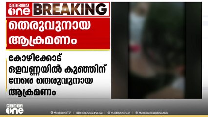 കോഴിക്കോട് ഒളവണ്ണയിൽ മൂന്നര വയസ്സുകാരന് നേരെ തെരുവ് നായ ആക്രമണം