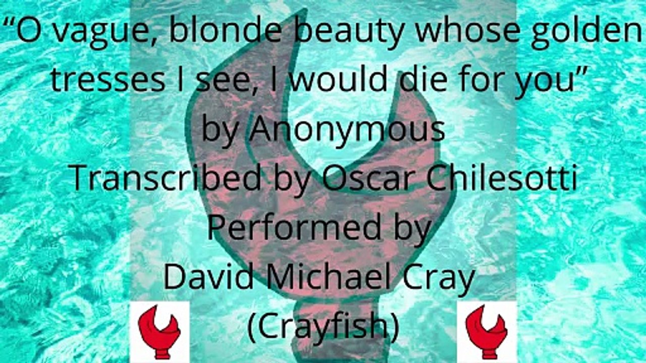 Classical Guitar Cover of O Vague, Blonde Beauty... by Anonymous | David Michael Cray