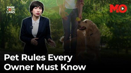 Can you walk your dog without a leash?