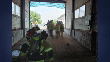 강화군 가축분뇨 처리시설에서 가스중독 추정 사고...1명 사망 / YTN