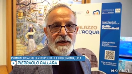 Pallara (Crea): "Dobbiamo difendere e tutelare l'agricoltura"