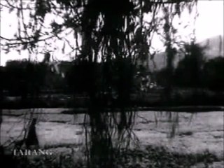 TERI RAHON MEIN... — CHALIYA | from "LATA-KISHORE" | TARANG