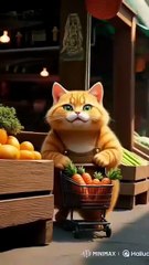 Shopping & Cooking
