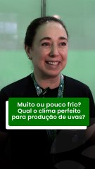 Muito ou pouco frio? Qual o clima perfeito para produção de uvas?